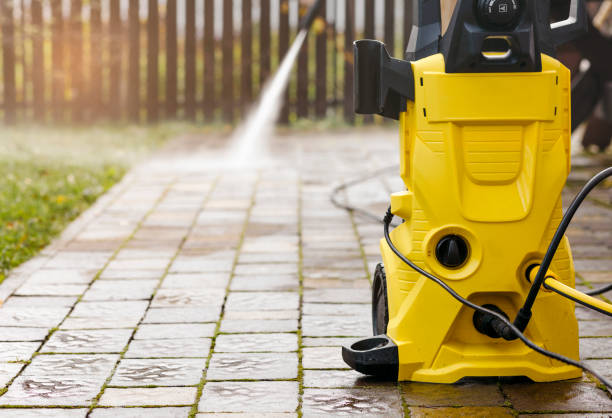 Best Fence Cleaning  in Rockwood, MI